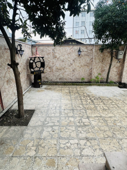 حیاط
