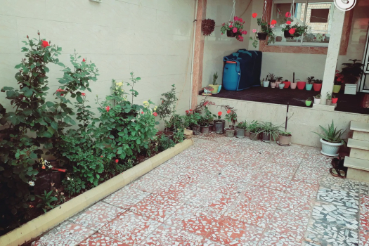 تصاویر هتل