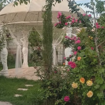 تصاویر هتل