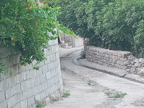مسیر منتهی به اقامتگاه