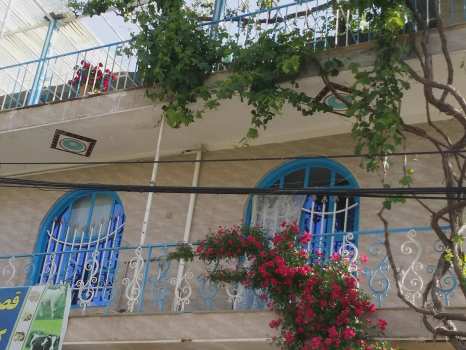 تصاویر هتل