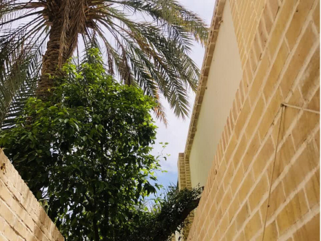 نمای بیرون از ورودی