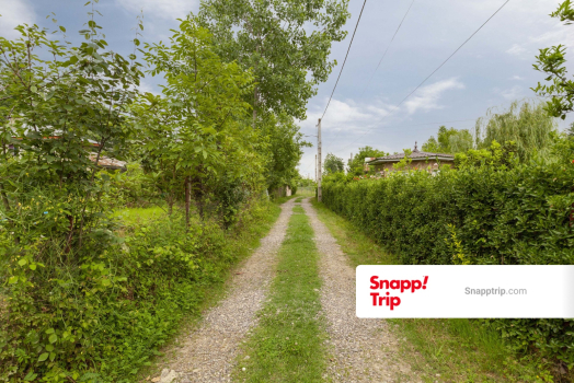 محوطه بیرونی