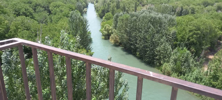 تصاویر هتل