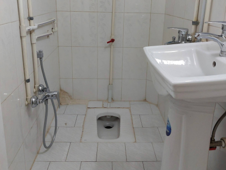 سرویس بهداشتی
