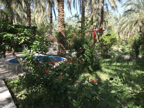 تصاویر هتل
