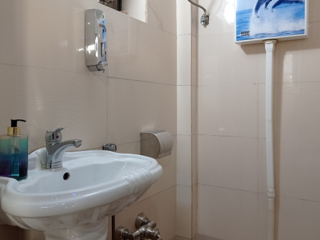 سرویس بهداشتی