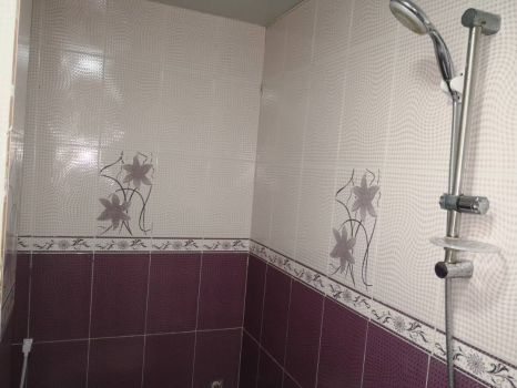 سرویس بهداشتی