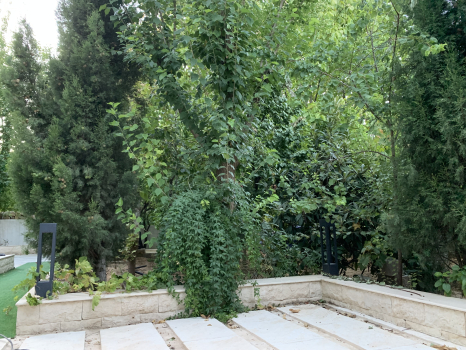 IMG_0518.jpeg
