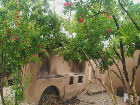 تصاویر هتل