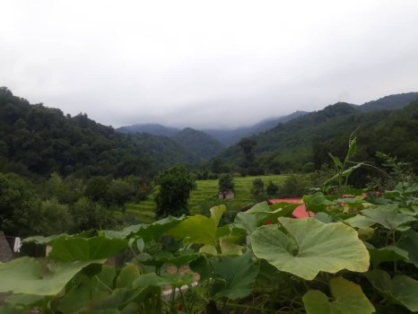نمای بیرونی ساختمان