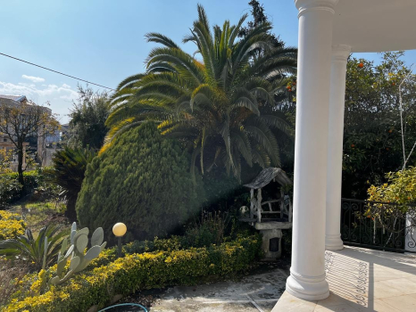 حیاط