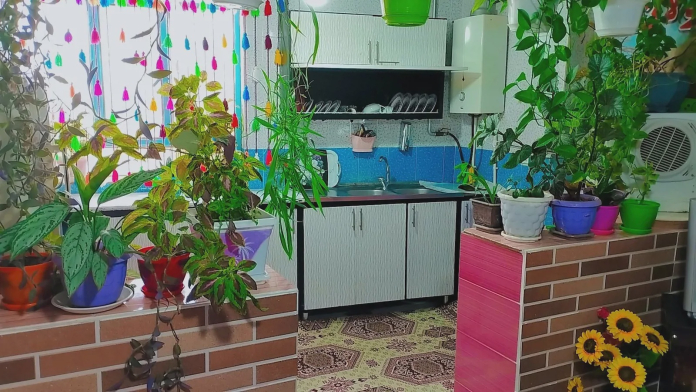 ویلایی زولان جنگل ابر شاهرود