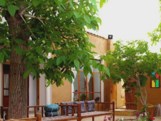 ویلا نی چشمه گوشواره