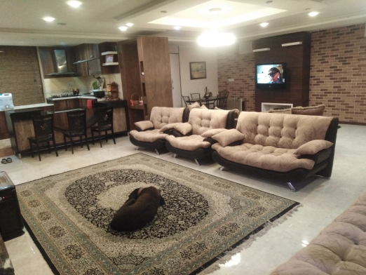 اتاق پذیرایی اتاق پذیرایی
