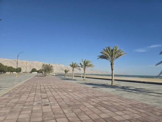 سوئیت ساحلی محمدزاده (3)