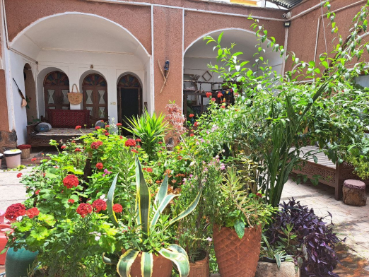 حیاط حیاط