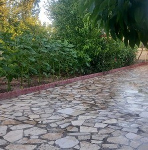 ویلای حیاط دار " کلبه سفید "