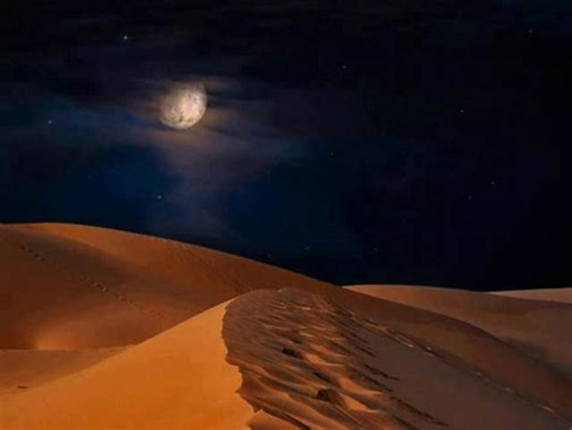 کلبه َاتاق رو به جنگل