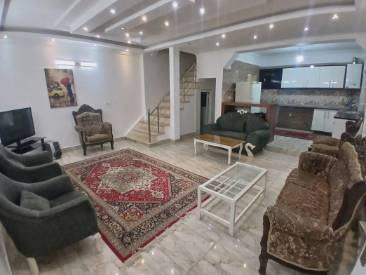 ویلا همایون نسب با فوتبال دستی