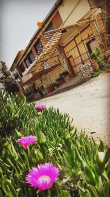 ویلا باباعلی روستای هنجن (اتاق 1)