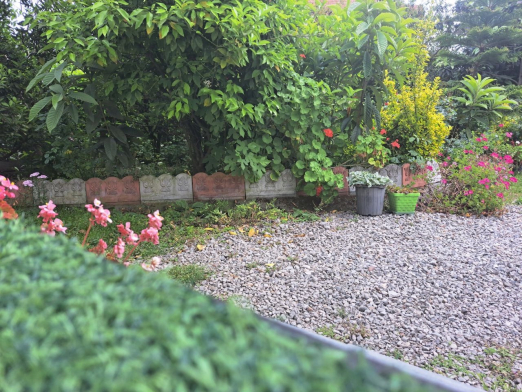حیاط ویلای دربست باغی با ویوی کوه و جنگل