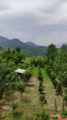 واحد مبله با چشم انداز زیبا در روستای تبر سرا