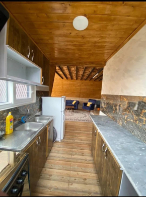 کلبه سوئیسی آریام ماسال