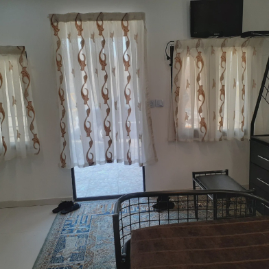 سوئیت جنگلی حیران