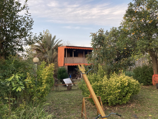 حیاط حیاط