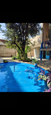 حیاط حیاط