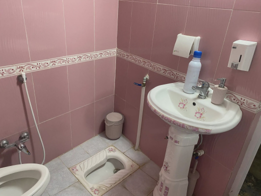 سوئیت باغ بنفشه