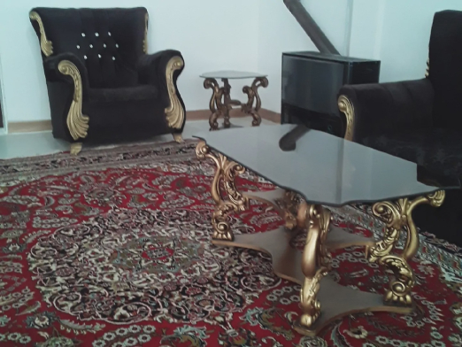 ویلایی بختیاری