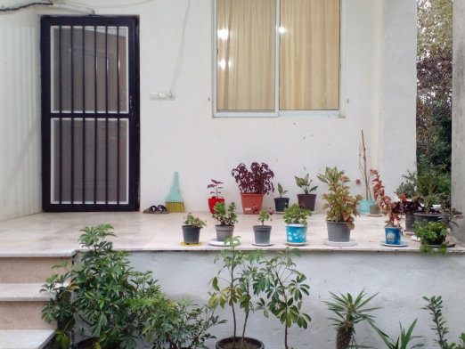 نمای ورودی خانه ویلای جنگلی کلاچای