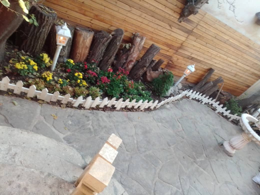 بومگردی طوبی (اتاق 2)