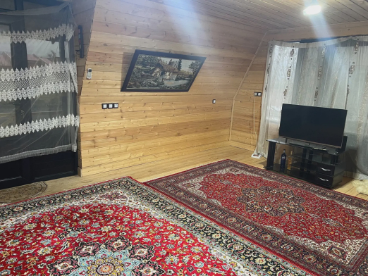 کلبه سویسی باران