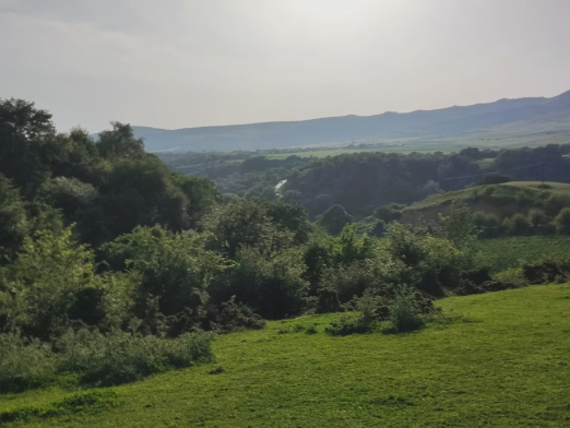 ویلا مبله الماس