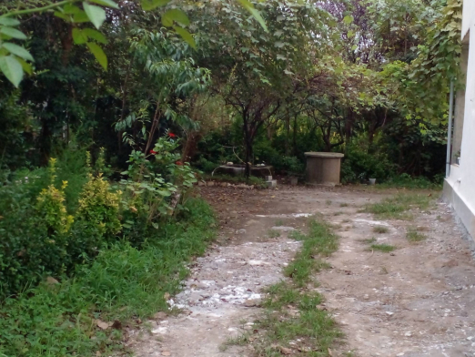 محوطه بیرون ویلای جنگلی کلاچای