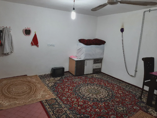 سوئیت نقلی زربین