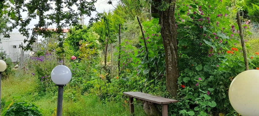 محوطه باغ محوطه باغ