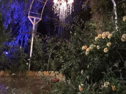 حیاط ویلا مجتمع گردشگري سياوش