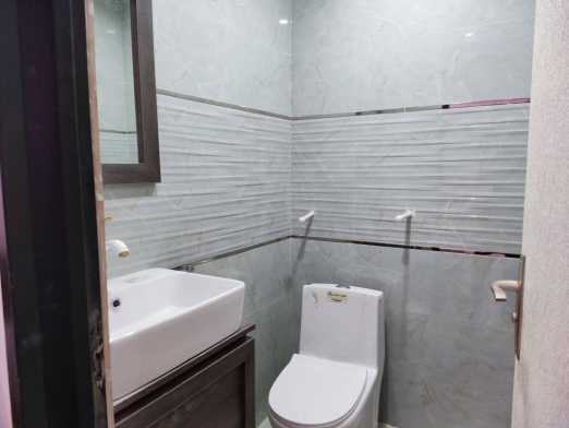 سرویس بهداشتی