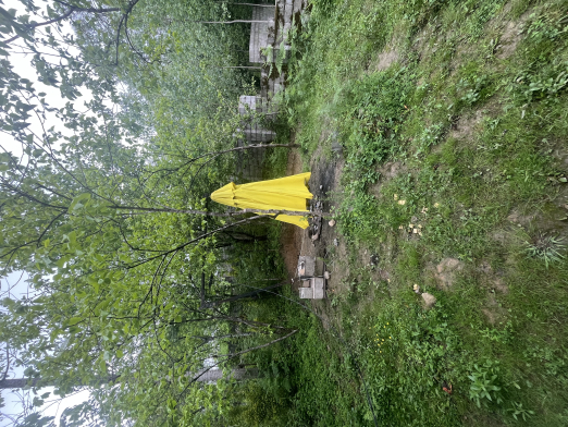 IMG_7131.jpeg IMG_7131.jpeg