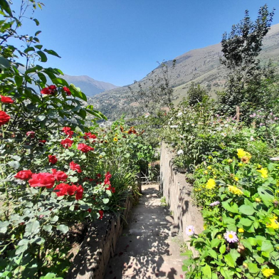 ویلا یک خوابه مهرسام مرزن آباد