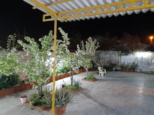 حیاط حیاط