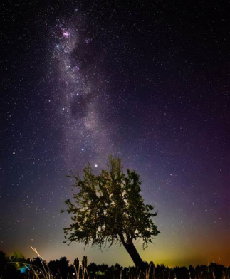 کلبه َاتاق رو به جنگل