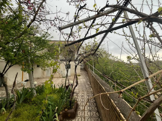 ویلا یک خوابه ییلاقی طرقبه