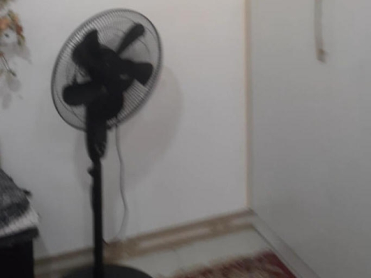 پنکه ایستاده ویلای دو خوابه روجا