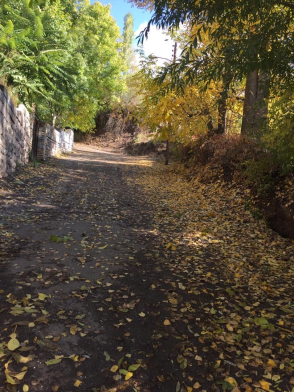 کوچه کوچه