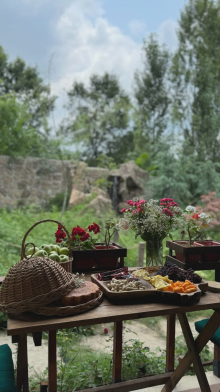 ویلایی افرا با پینگ پونگ